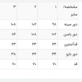شومیز گیپور و الیزه زنانه مدل پایین دالبری با قد 70